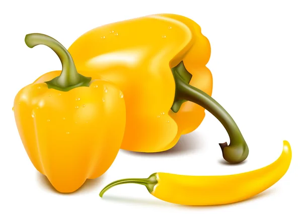 Bell peppers and hot chili pepper — Stock Vector