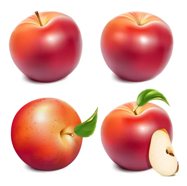 Manzanas rojas maduras — Vector de stock