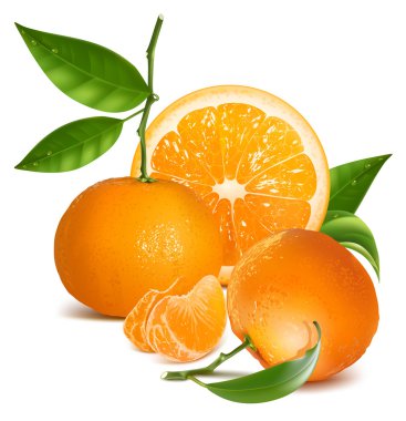 Fresh tangerines with green leaves and orange. clipart
