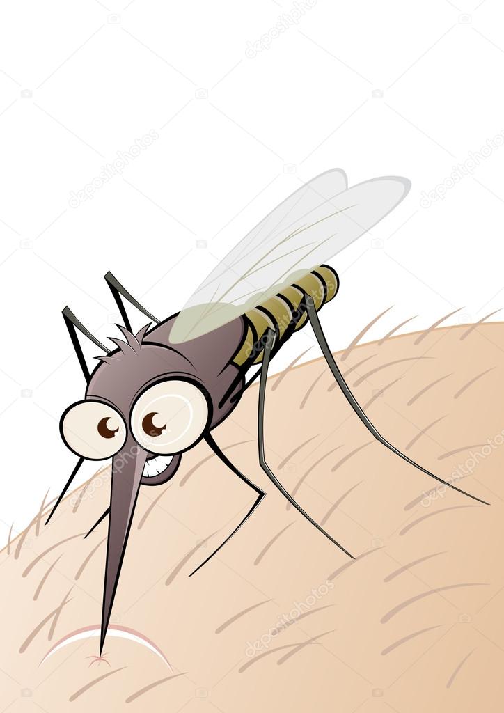 Angry cartoon mosquito