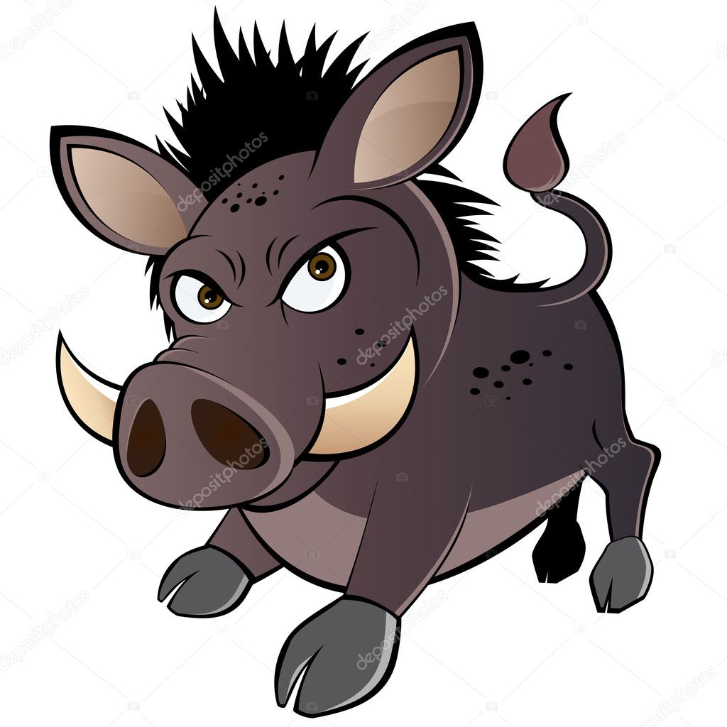 Funny boar cartoon