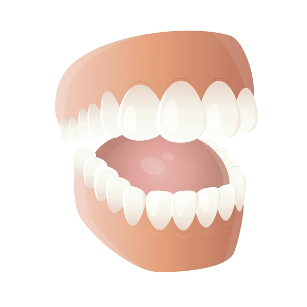 Funny cartoon denture — Stock Vector