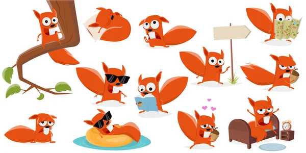 Funny Set Cartoon Squirrel Various Situations — Stock Vector
