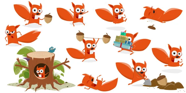 Funny Set Cartoon Squirrel Various Situations — Stock Vector