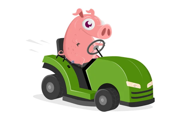Ilustração Engraçada Porco Dos Desenhos Animados Com Trator Cortador Grama — Vetor de Stock