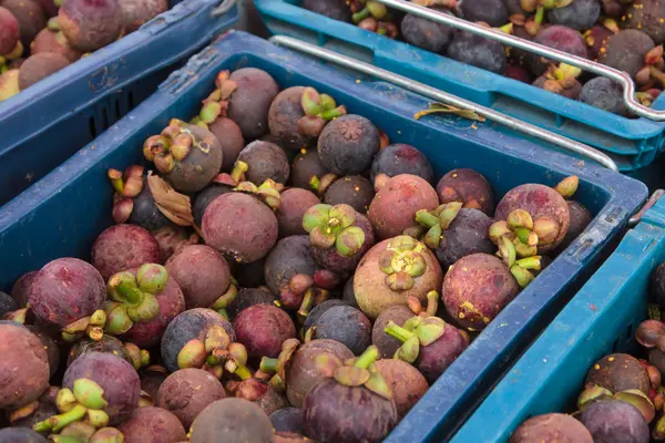 Mangosteen — Stock Photo, Image