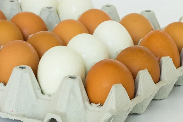 Eggs panel — Stock Photo, Image