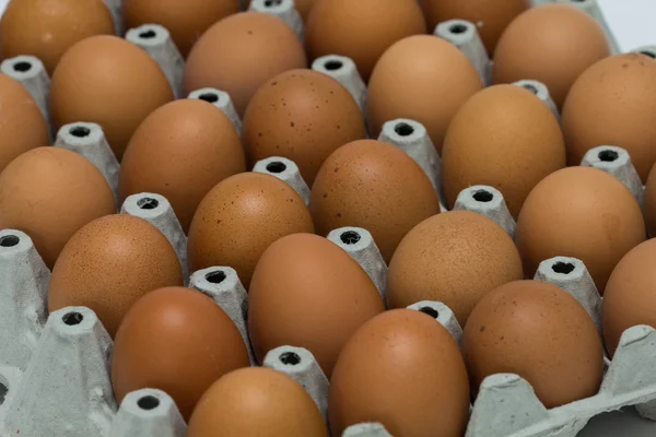 En la recogida de huevos . — Foto de Stock