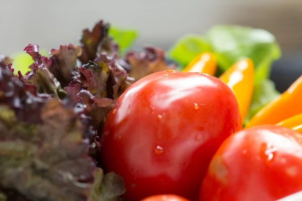 Légumes biologiques . — Photo