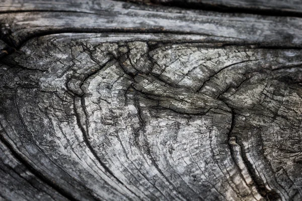 Texture en bois — Photo