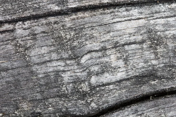 Wooden texture — Stock Photo, Image