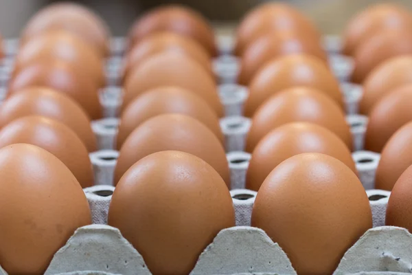 Egg is row — Stock Photo, Image