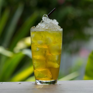 Chrysanthemum çayı