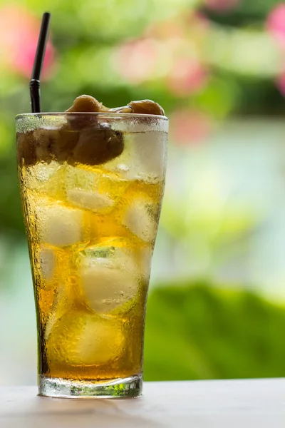 Agua de Longan . — Foto de Stock