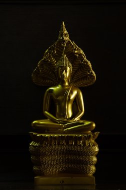 Altın buddha heykeli