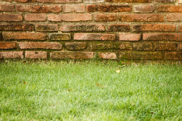 Old brick wall — Stock Photo, Image