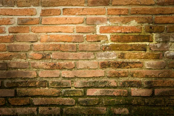 Old brick wall — Stock Photo, Image