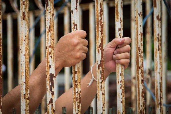 Mano en la cárcel —  Fotos de Stock