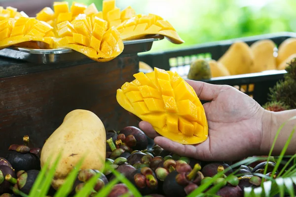 Mango — Stock Photo, Image