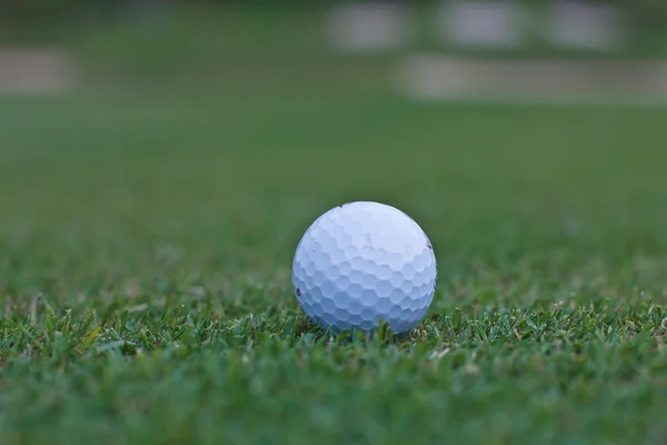 Çimlerin üzerinde golf topu — Stok fotoğraf