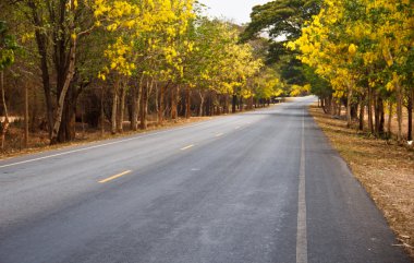 kırsal alanda yollar.