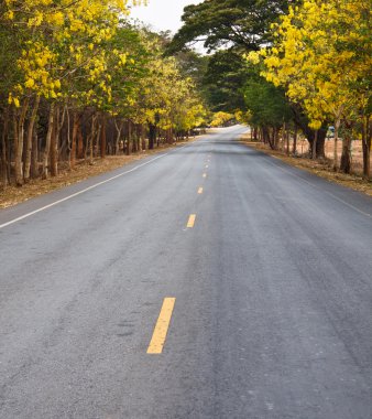kırsal alanda yollar.