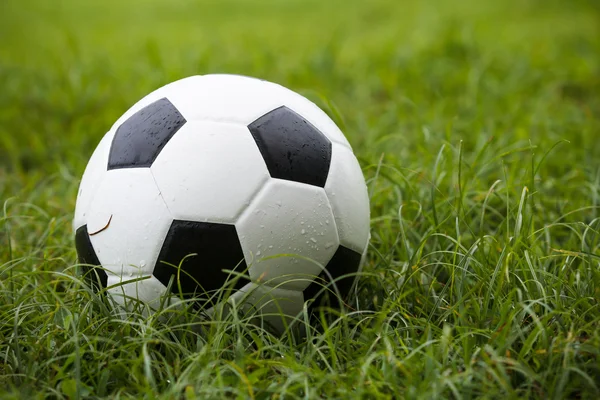 Balón de fútbol —  Fotos de Stock