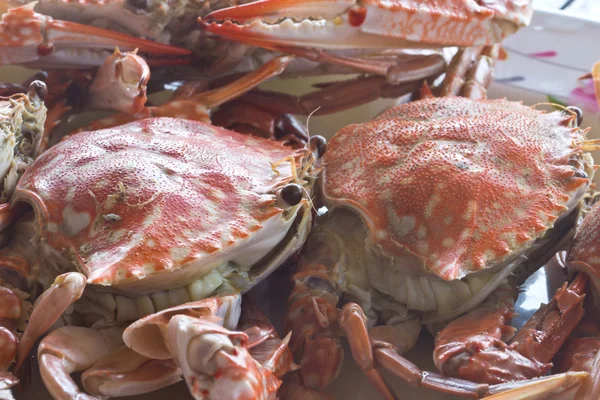 Gedämpfte Krabben — Stockfoto