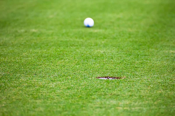 Pelota de golf — Foto de Stock