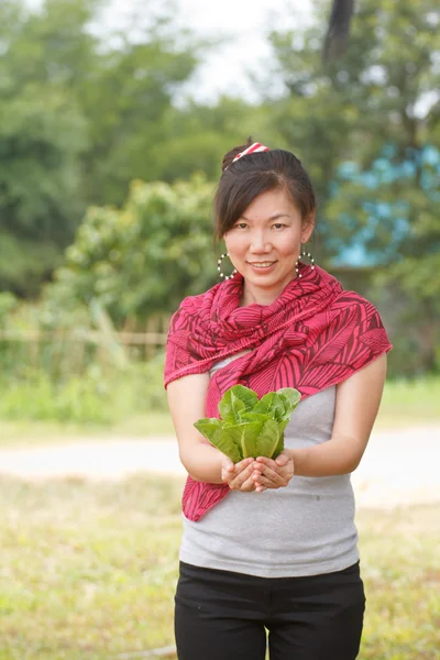 Give plant — Stock Photo, Image