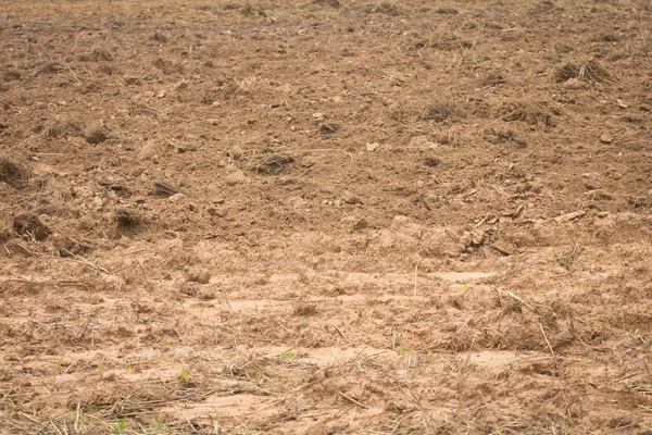 Soil background — Stock Photo, Image