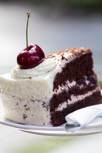 Cheesecake med choklad — Stockfoto