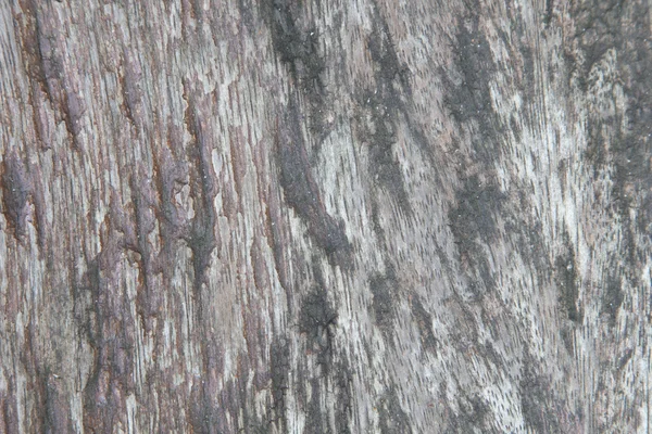 Holzstruktur — Stockfoto