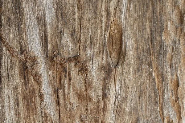 Old wooden — Stock Photo, Image