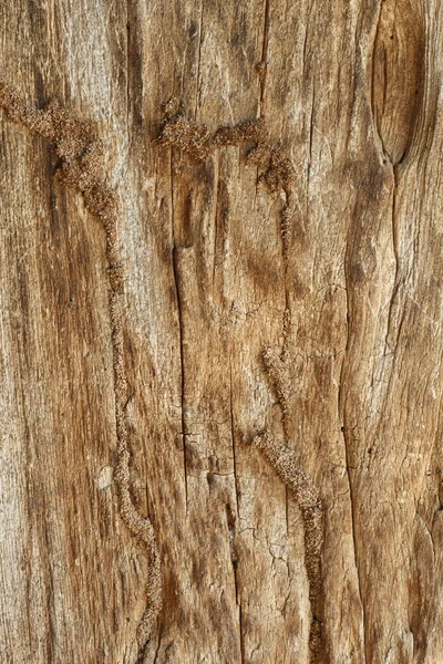 Old wooden — Stock Photo, Image