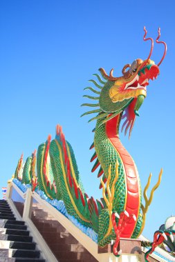 ejderha