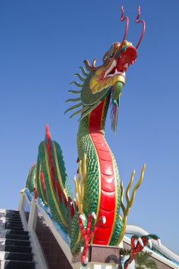 ejderha