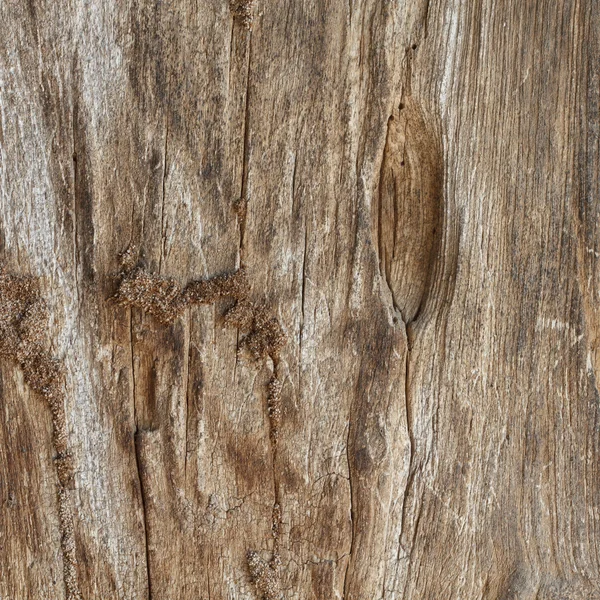 Oude houten — Stockfoto
