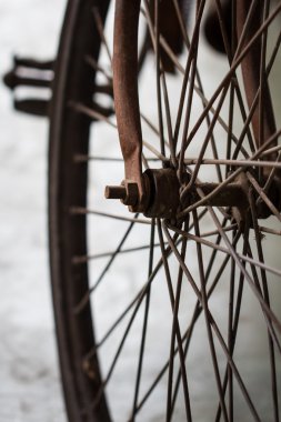 Bisiklet Tekerleği