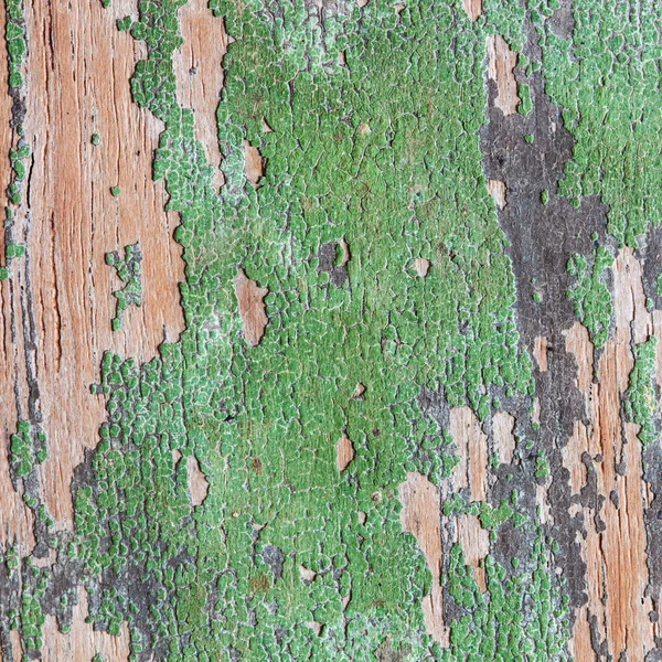 Dřevo zelená — Stock fotografie
