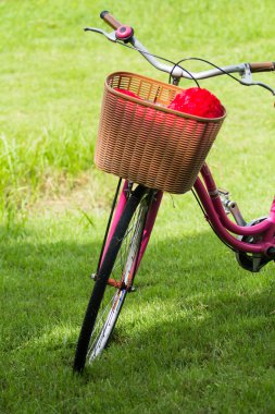 Parktaki bisikletler