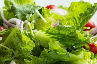 Taze sebze salatası.