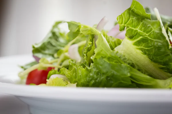 Frischer Gemüsesalat — Stockfoto