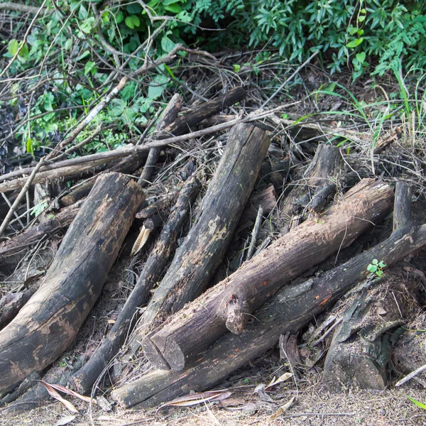 Wood scraps — Stock Photo, Image