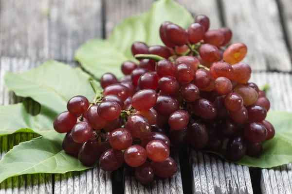 Grapes — Stock Photo, Image