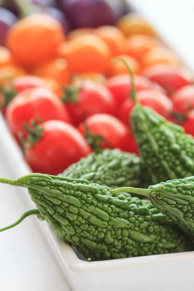 Bitter gourd — Stock Photo, Image