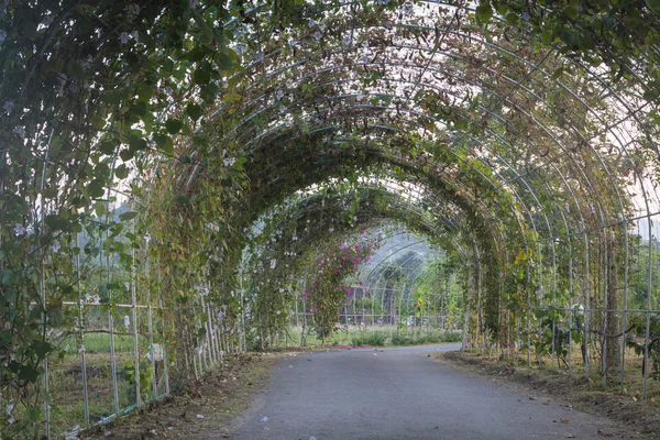 Arco en el jardín — Foto de Stock