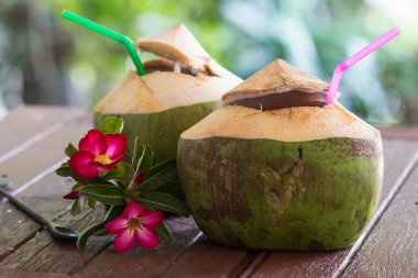 coconut water drink clipart