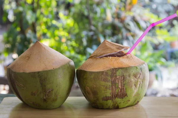 Kokosnoot water drinken — Stockfoto