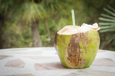 coconut clipart